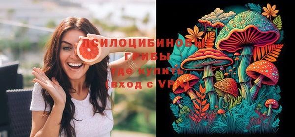 хмурый Абинск