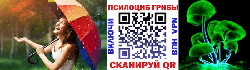 где найти   Сальск  Псилоцибиновые грибы ЛСД 